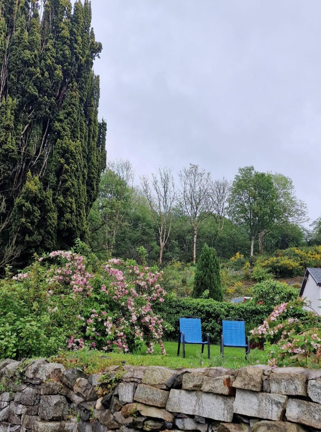 Nordlys Cottage Newton Stewart Eksteriør billede